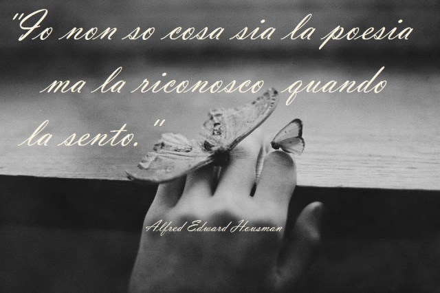 576401_472509539445981_974112959_n