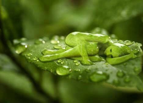 1474409_10202791597937038_489426817_n