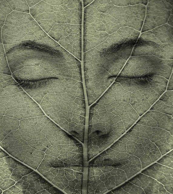 1457648_741597042572076_4024671098970131459_n