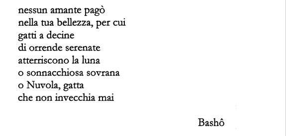da "Gatti" ed. Acquaviva a cura di Giuseppe D'Ambrosio Angiolillo