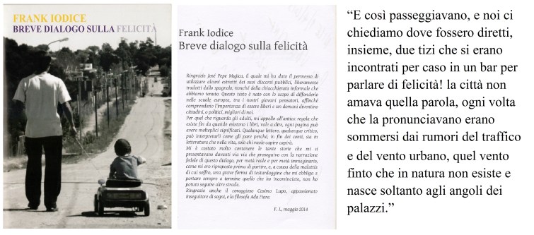 copertina libro iodice - Copia