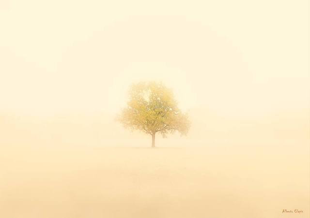 Fotografia di Alberto Clapis