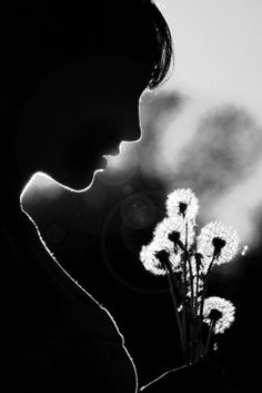 e1321479625142abd196dad9cfd1119e