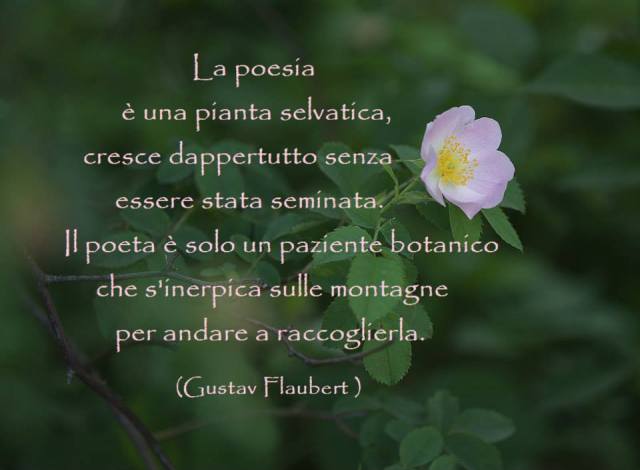 556973_10200336818209339_2123672958_n