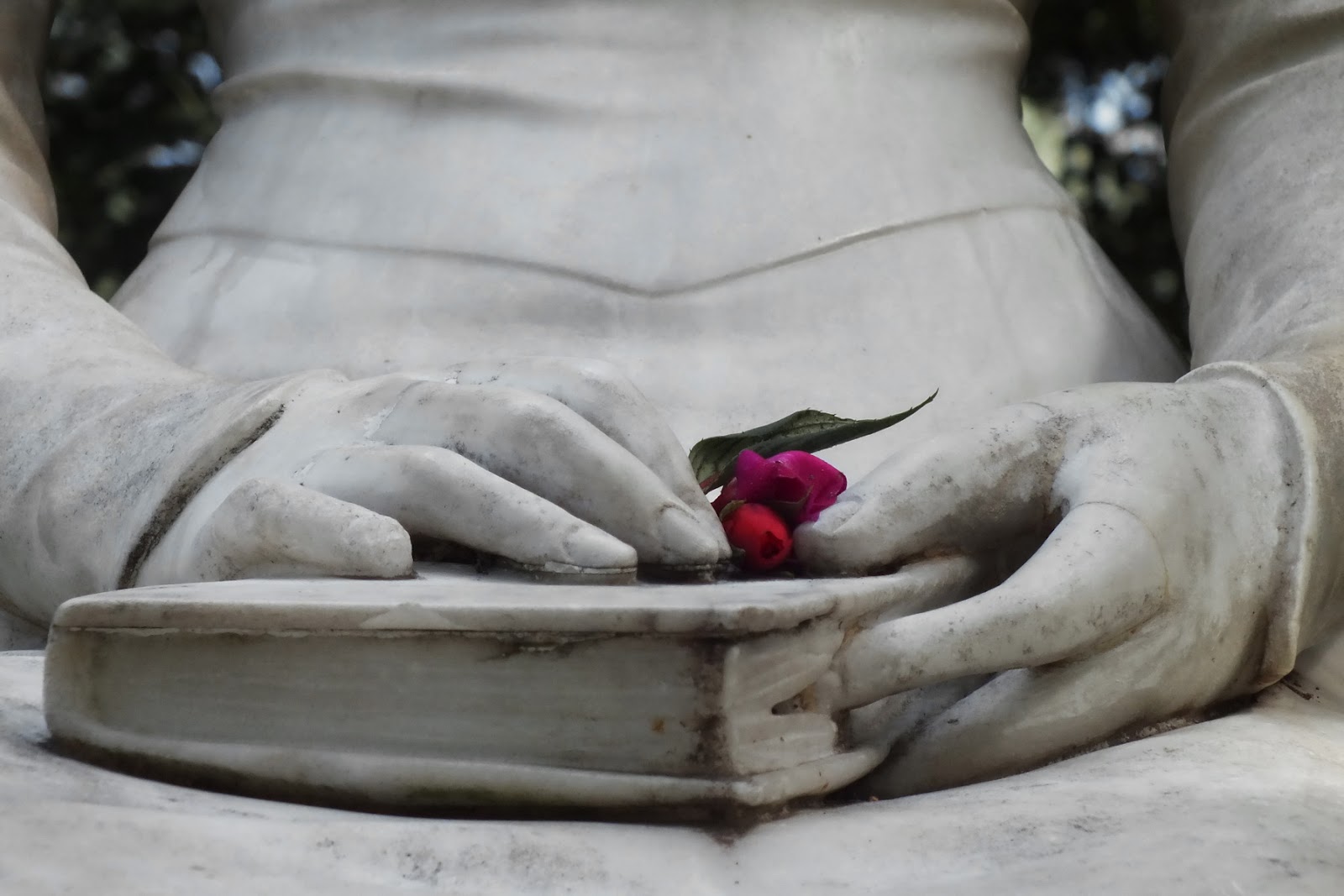 tra-le-mani-un-libro-e-un-fiore