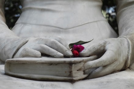 tra-le-mani-un-libro-e-un-fiore