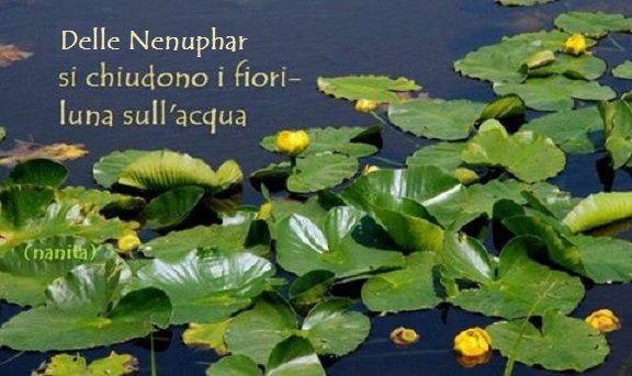 13335654_1896289023946867_6521794582529637901_n