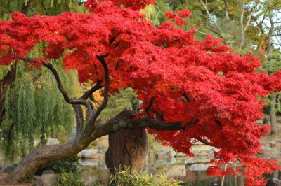 8217124016_cbf1015a16_b