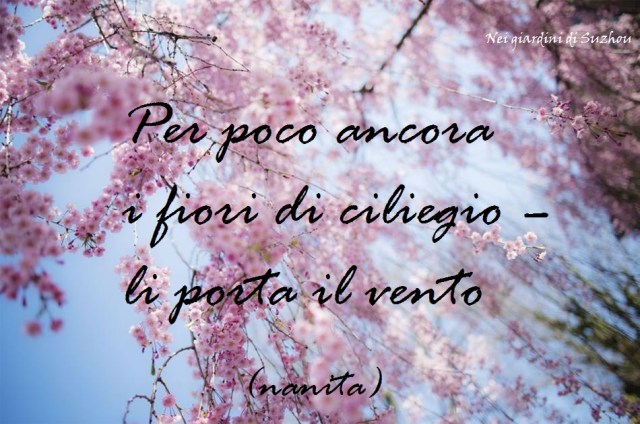 Hanami_giappone_National-Geographic_foto_08