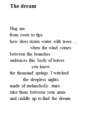 the dream - nanita- valentina meloni