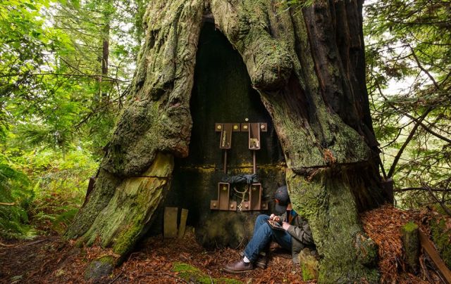 173104488-c6666df5-a650-4d09-aee7-5a03f0c26266