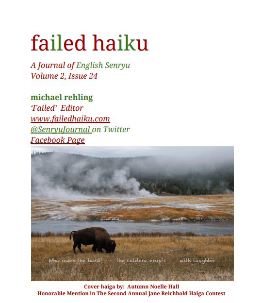 copertina failed haiku dic 2017