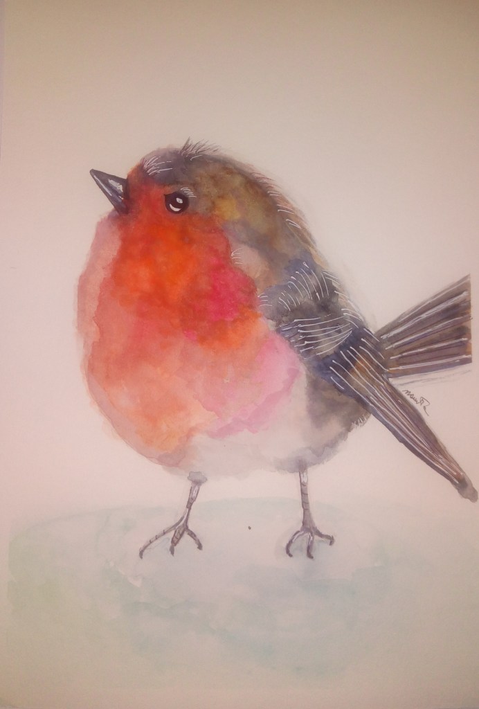 pettirosso acquerello 